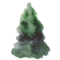 kerstboom, grenen aquarel illustratie png