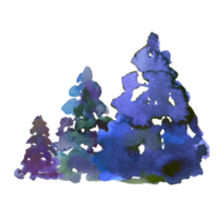 arbre de noël, illustration aquarelle de pin png