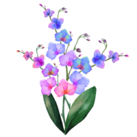 una ramita de orquídea png