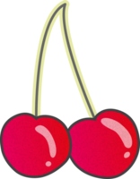 Double Red cherry on branch png