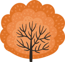 Autumn tree. Illustration png