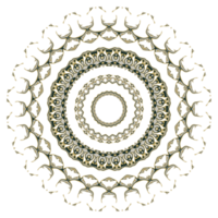 ornamento patrón abstracto mandala png