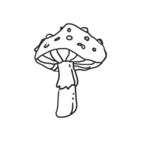 illustration dessinée à la main de champignon. conception simple et minimale pour la décoration d'éléments. croquis au crayon dessin graphique. png