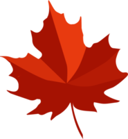autumn leaves Icon png