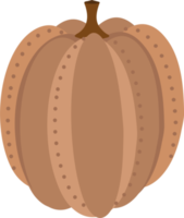 icono de calabaza de otoño png