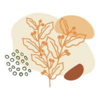 ästhetische Boho-Klecksform und Umrissblume png