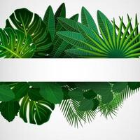 Tropical leaves border on isolate background. Vector illustration.