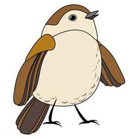 pájaro lindo de línea, estilo de coloración aislado sobre fondo blanco, vector de señal.