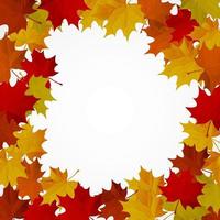 Abstract background with autumn colorful leaves. vector