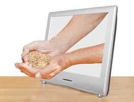 farmer handful with grains leads out TV screen photo