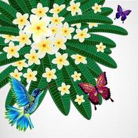 fondo de diseño floral. flores de plumeria con pájaros, mariposas. vector