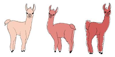 Animal lama silhouettes painted with markers vector