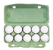 top view of ten white chicken eggs in green box photo