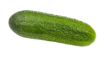 fresh green cucumber isolated on white photo