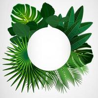 Tropical leaves border on isolate background. Vector illustration.