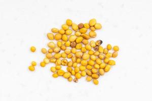 yellow seeds of Sinapis Alba mustard on gray photo