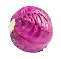 cabbagehead of ripe red cabbage isolated on white photo