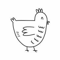 Chicken drawn with a black line vector