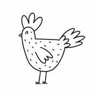 Chicken drawn with a black line vector