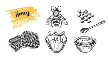 conjunto de miel. ilustración dibujada a mano. vector