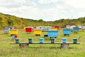 multicolored wooden beehives at apiary photo