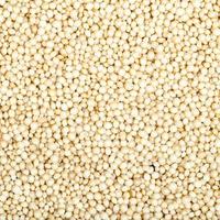 food background - amaranth grains close up photo