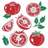 Set of red tomatoes vector