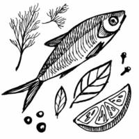 Drawing of a fish with lemon, pepper and herbs vector