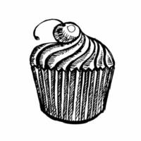 Cupcake drawn by hand vector