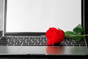Red rose and the laptop on deck photo
