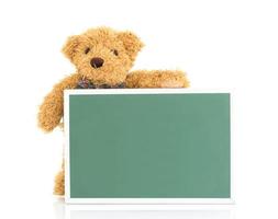 Teddy bear with empty green board photo