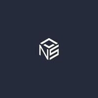 NS initial hexagon logo design vector