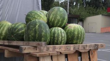Large ripe watermelons lie on the market. The sun's rays illuminate ripe large watermelons in the market, on the counter. Striped watermelons in bulk in a store or fresh market, large and green. video