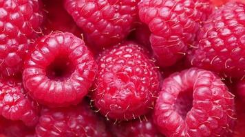 raspberry fruit food video