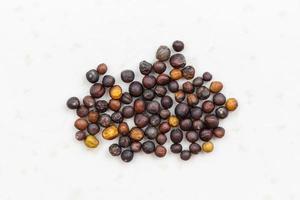 whole-grain rapeseeds close up on gray ceramic photo
