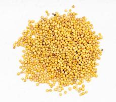 montón de semillas amarillas de mostaza brassica juncea