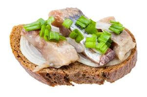 open sandwich with rye bread, herring and onion photo