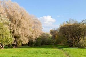 meadow path way through autumn forest border photo