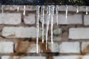 icicles and brick wall on background photo