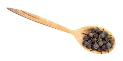 top view of tailed pepper cubeb in wood spoon photo