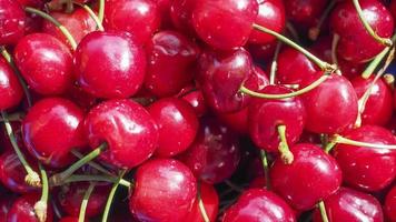 Cherry fruit detail video