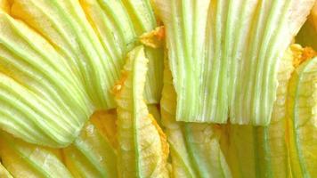 courgettes aka zucchini flowers video