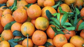 comida de fruta naranja video