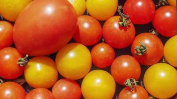 sfondo di verdure pomodorini video