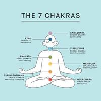 The 7 Chakras vector