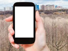 smartphone and bare trees in spring forest photo