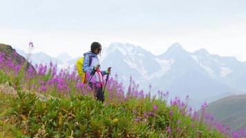 Side view tracking fit sporty female hiker with nordic walk sticks stand on viewpoint uphill in green hiking trail in caucasus mountains .Recreational activities and healthy lifestyle video