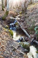 brook in mountain woods in spring photo