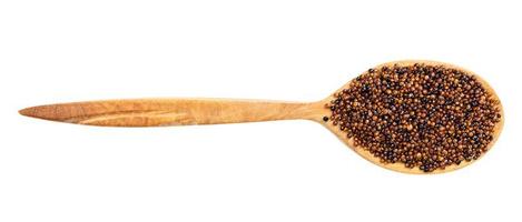 view of wood spoon with canihua grains isolated photo