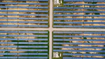 Aerial view of solar power plant on green field. Solar panels system for solar power generation. Green energy for sustainable development to prevent climate change and global warming to protect earth. video